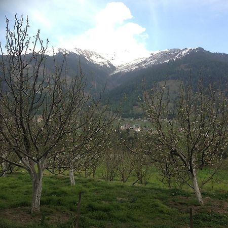Akash Hills Hotel Manali (Himachal Pradesh) Ngoại thất bức ảnh
